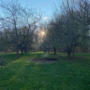 Meet your Posher, Clara